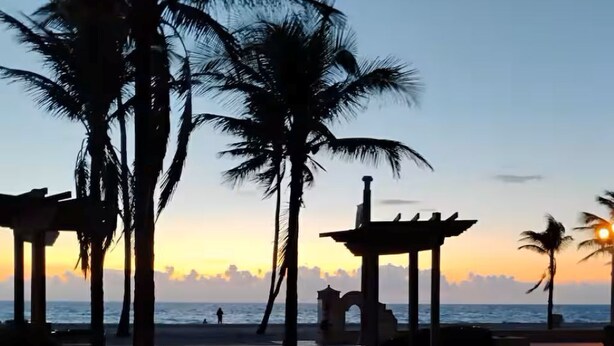 A beachside area with palm trees, a pergola, and a view of the ocean. - Private Secure BBQ Man Cave near Beach & Casinos (Hollywood)