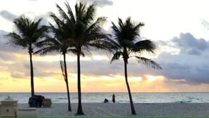 A beach with palm trees, a sea view, and a structure with arches. - Private Secure BBQ Man Cave near Beach & Casinos (Hollywood)