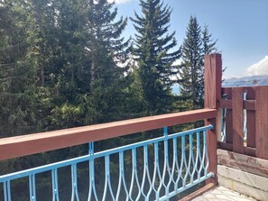 A balcony with a wooden railing and blue metal balusters, overlooking a forested area with tall trees and a clear sky. - 100m from resort center, 8th floor, view forest, balcony, tv, ski locker, 27m², Les Arcs (Bourg-Saint-Maurice)