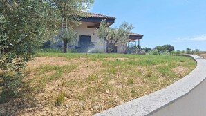 Una casa con techo de tejas, camino de entrada pavimentado y zona verde con árboles.
