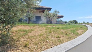 Uma casa com telhado de telhas, entrada com calçada e área gramada com árvores.