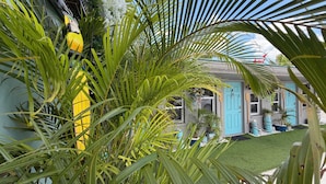 Une maison avec une porte bleue, entourée d’un luxuriant feuillage verdoyant.