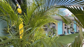 Una casa con puerta azul, pared amarilla y jardín con palmeras.