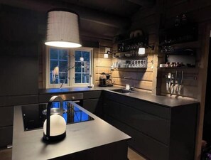 Oven, stovetop, dishwasher