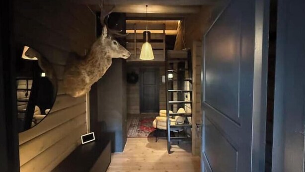 Un pasillo estrecho con paredes de madera, una cabeza de venado montada, una lámpara colgante y una escalera.