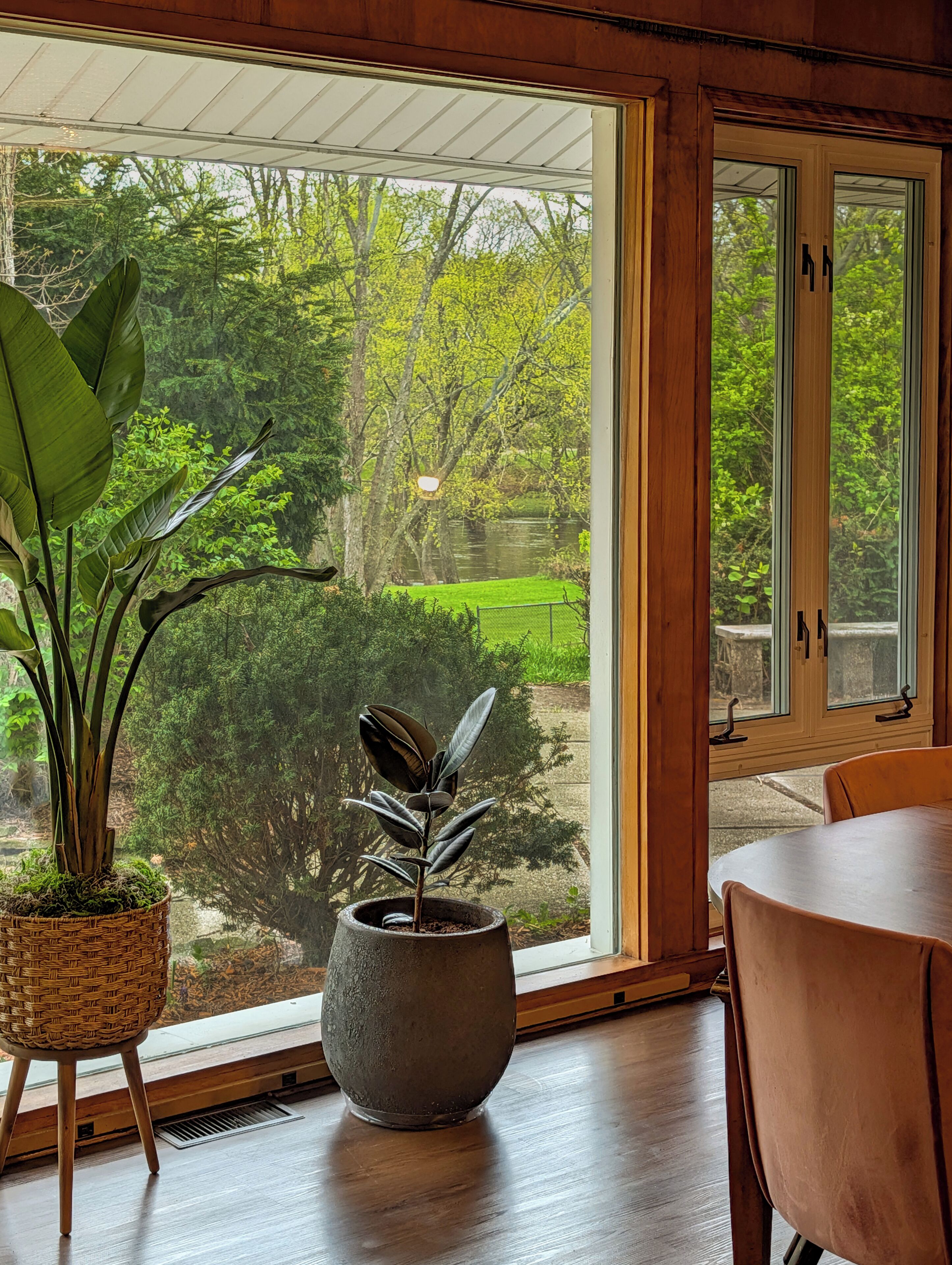 Une pièce dotée d’une grande fenêtre, d’une table à manger et de deux plantes en pot.