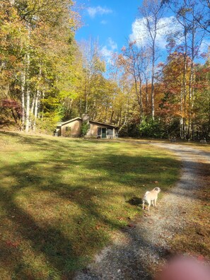 Property grounds - The Extra House Extra Cozy Extra Cute (Clayton)