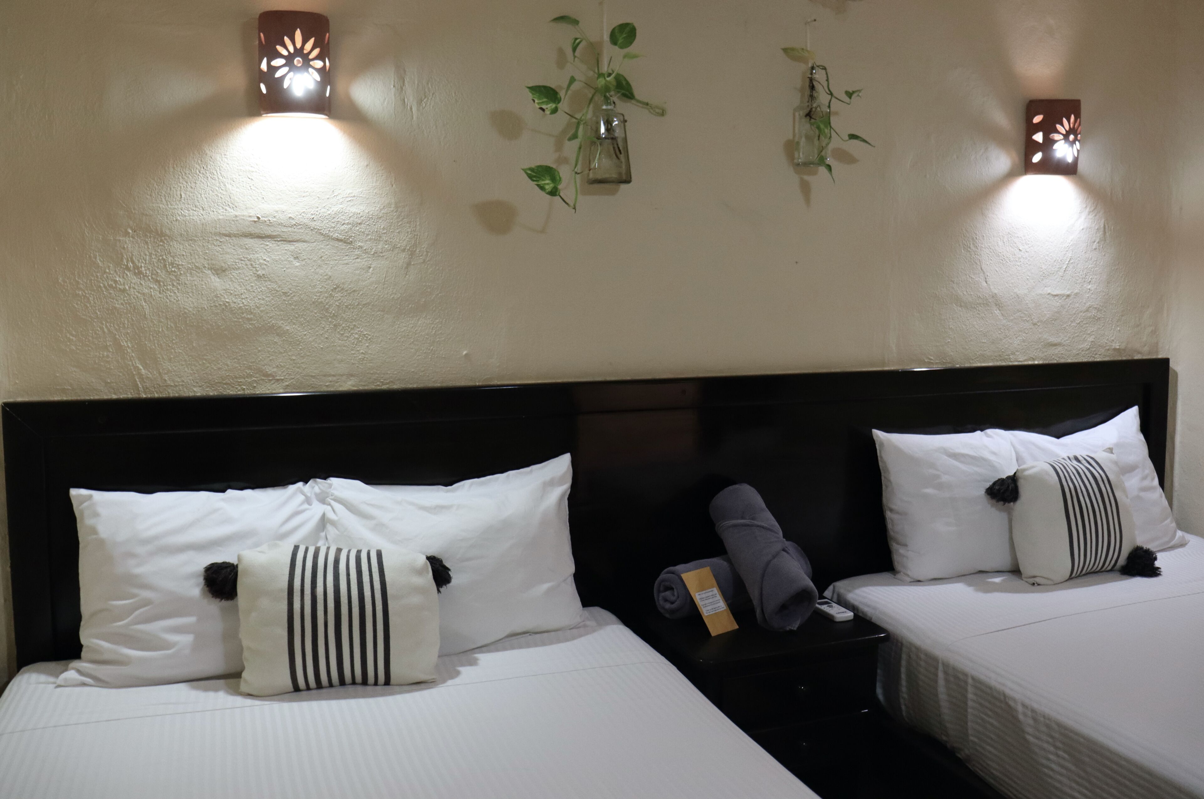 Une chambre d’hôtel avec deux lits, chacun agrémenté de draps blancs et de coussins décoratifs. Des appliques murales et une petite plante en pot ornent le mur.