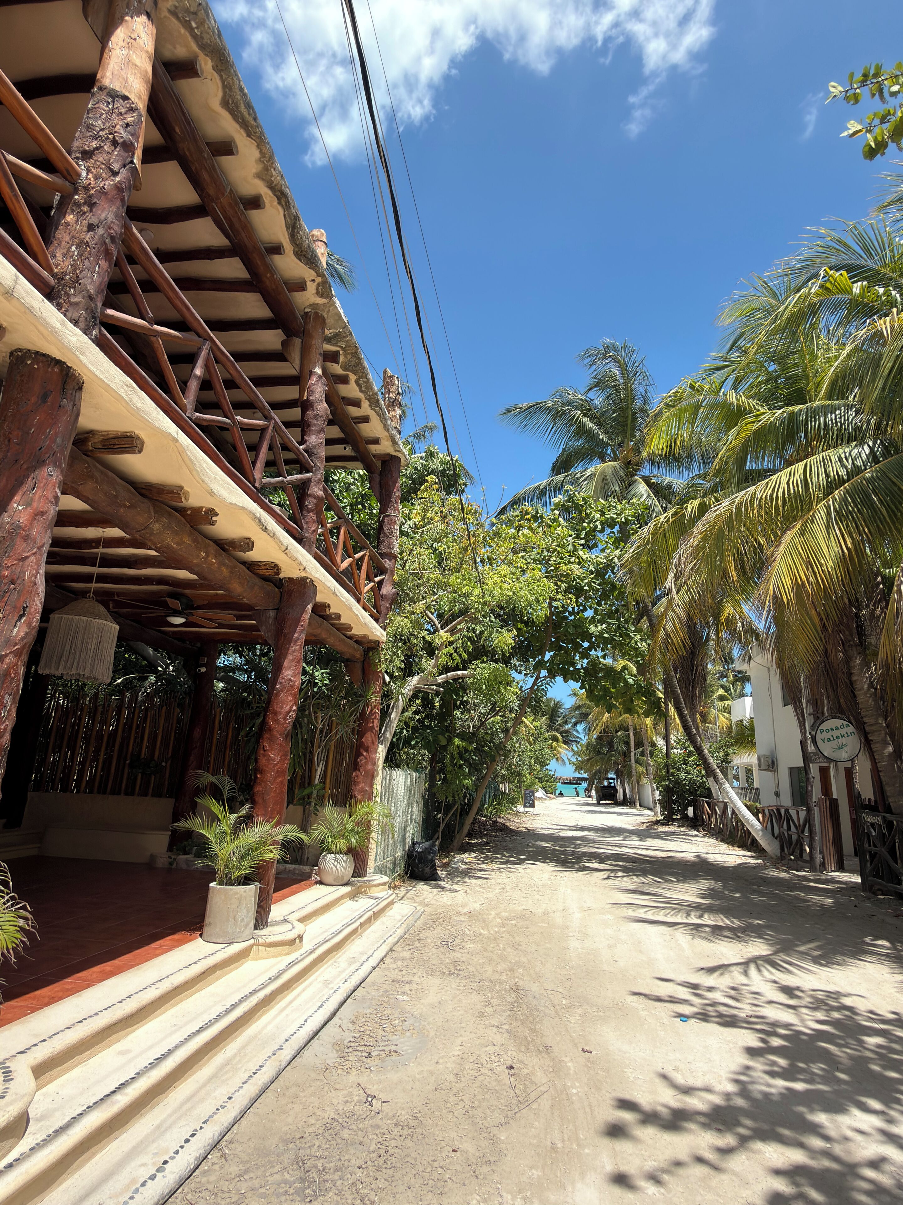 A wooden structure with a covered porch, palm trees, and a clear sky.