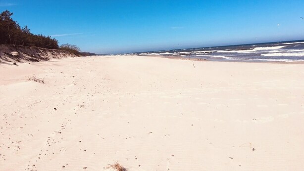 Une plage de sable, avec un ciel dégagé et l’océan à l’horizon.