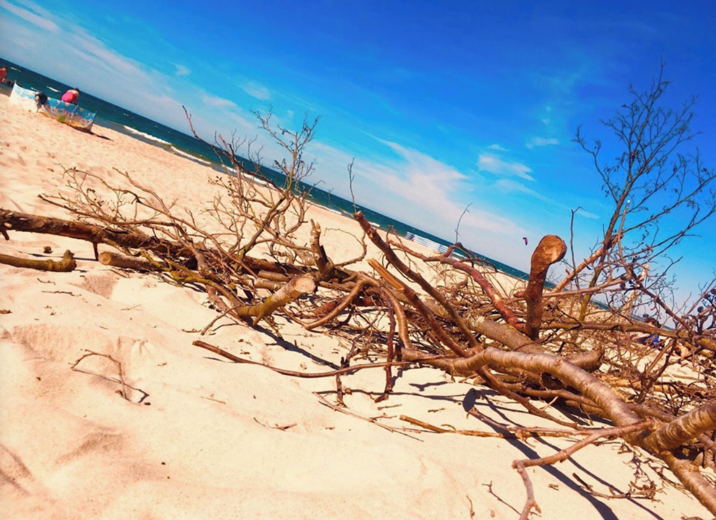 Strand