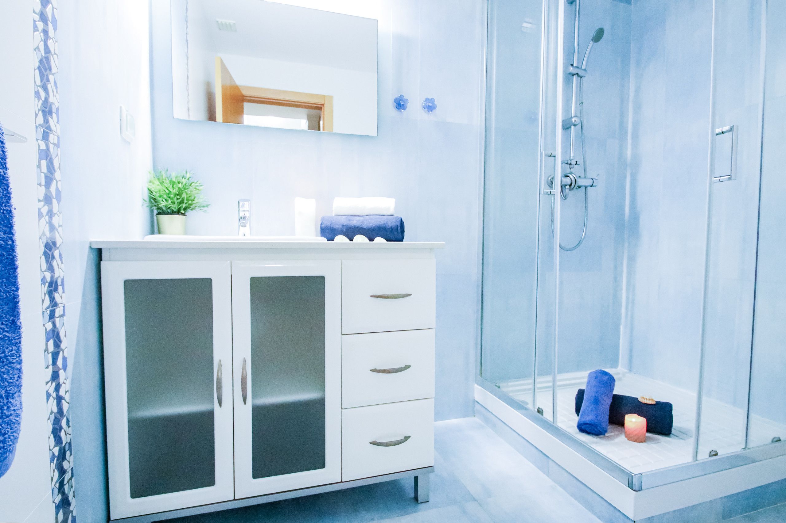 A modern bathroom with a glass shower enclosure, a white vanity with a mirror, and a potted plant.
