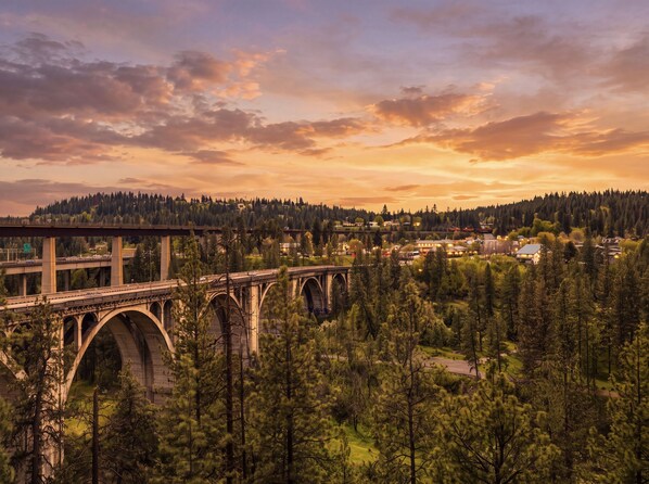 A bridge with multiple arches over a forested area.