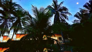 Un edificio de varios pisos rodeado de palmeras.