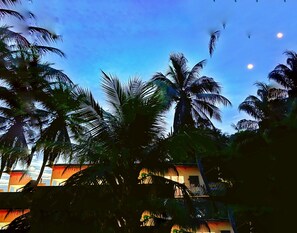 Property grounds - Hostel Povos da Floresta  (Rio Branco)
