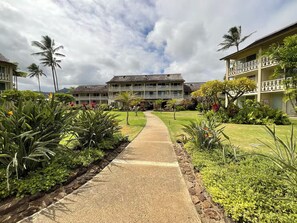 Property grounds - Oceanfront Studio at Islander on the Beach #325 (Kapaʻa)