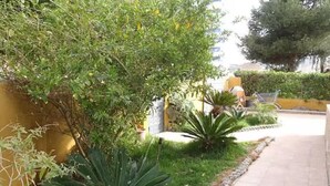 A garden area with various plants and a paved walkway. - Luxury villa in la manga (Playa Honda)