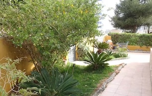 A garden area with various plants and a paved walkway.