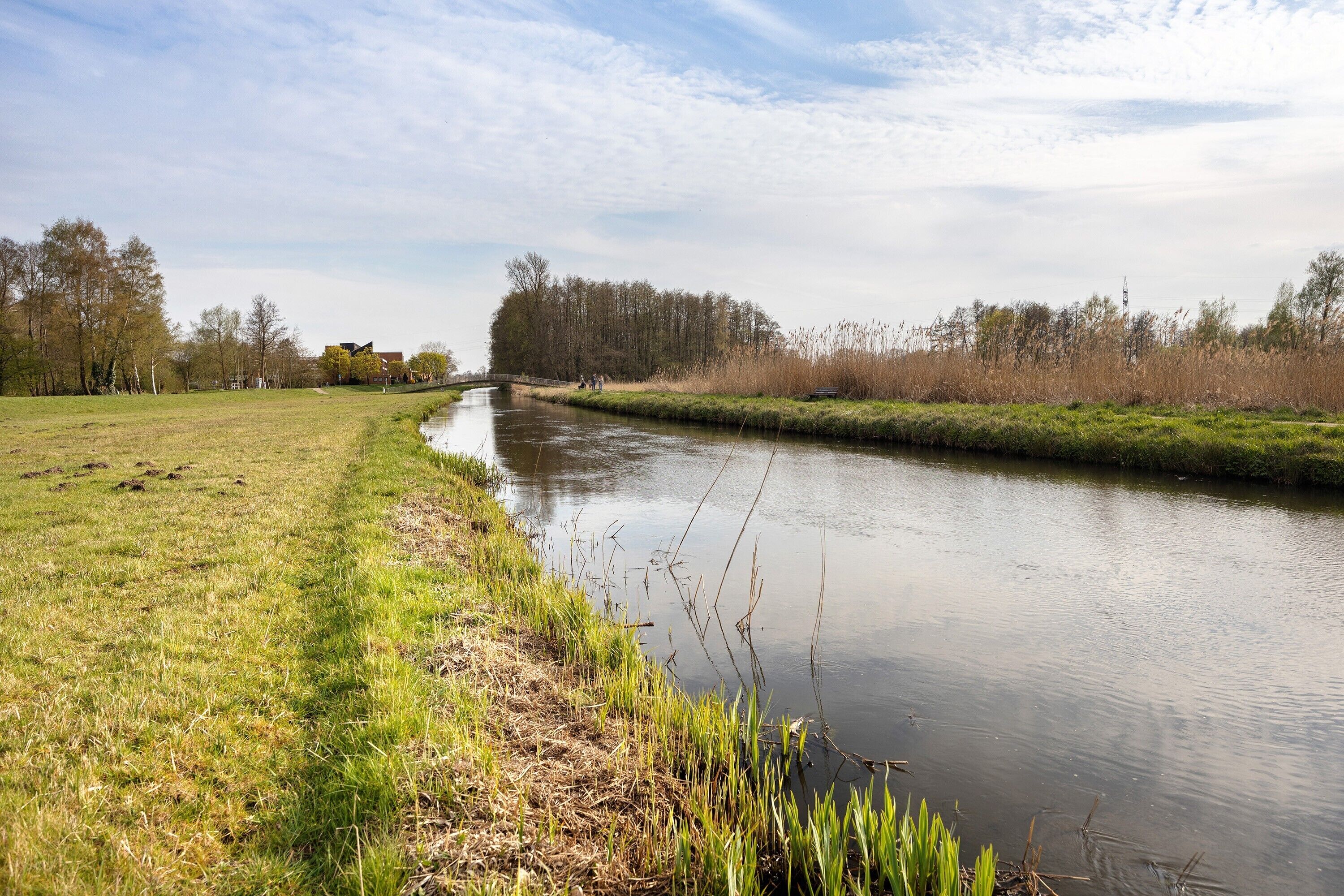 A calm river with grassy banks and trees in the background.