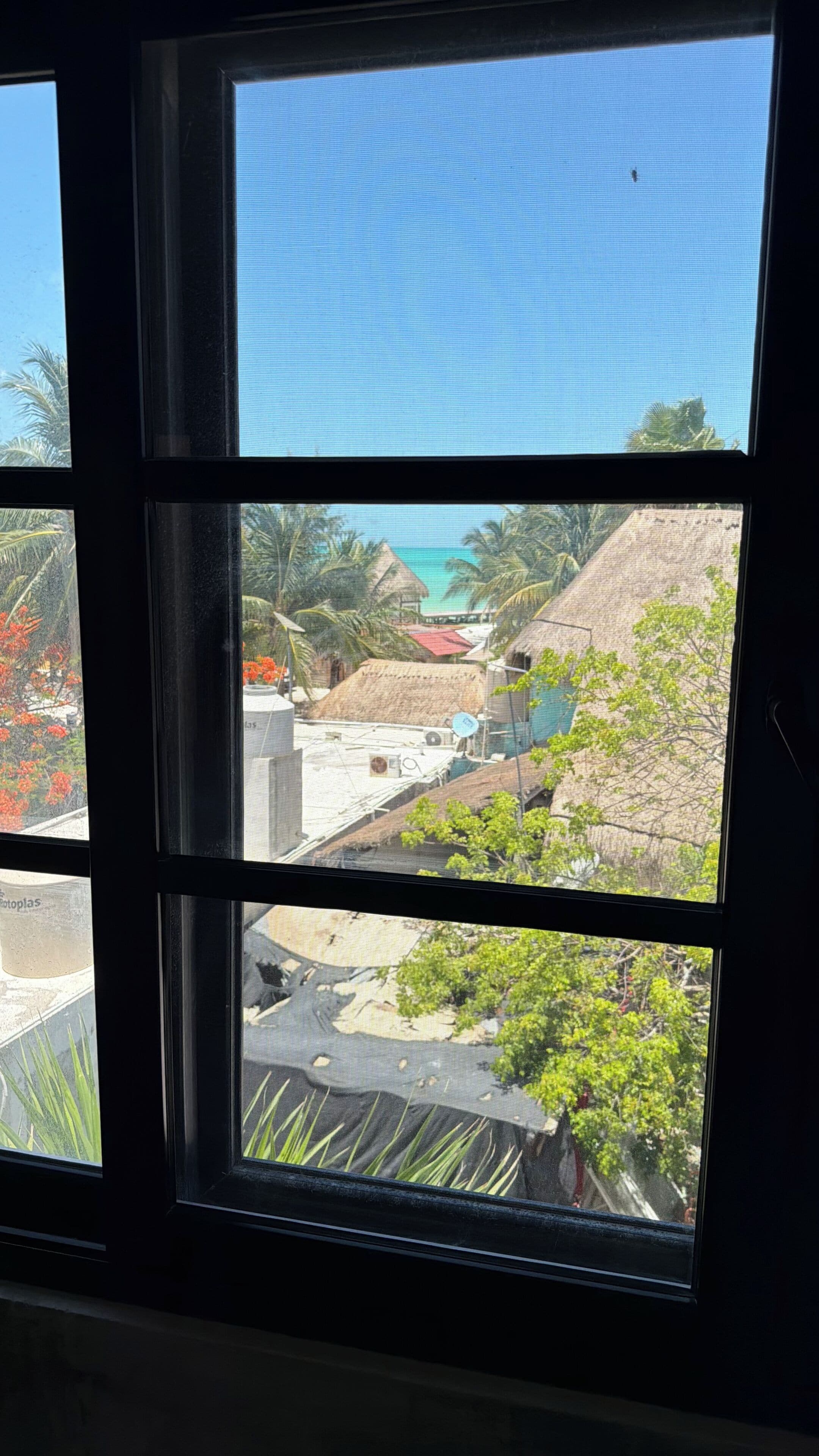 Vista desde la habitación