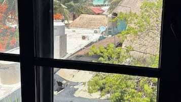 Vista desde la habitación