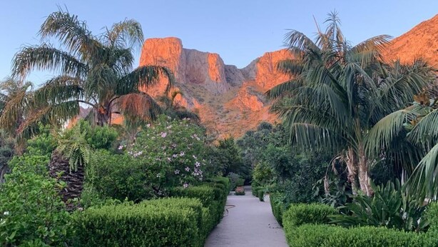 Un sendero serpentea por un jardín con palmeras y una montaña al fondo.