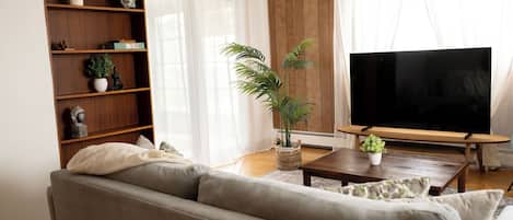 TV, fireplace, books
