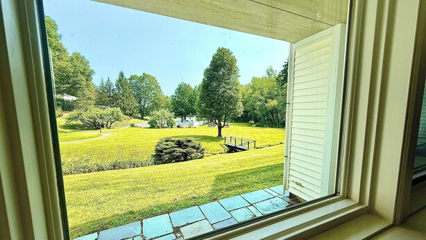 Ein Fenster mit Blick auf einen grünen Garten, einen Baum und ein Haus im Hintergrund.