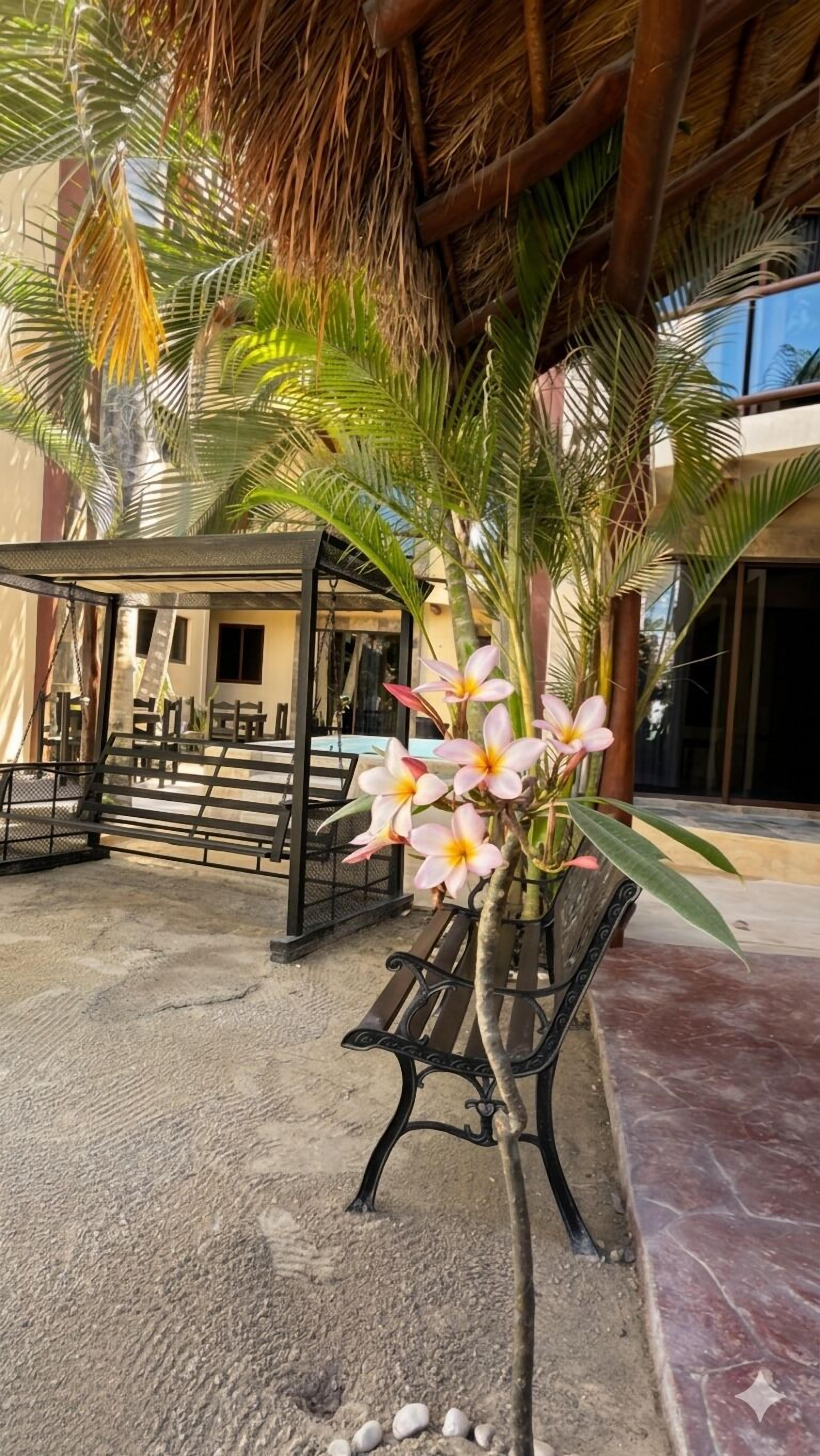 A covered outdoor seating area with benches, a palm tree, and a building in the background.