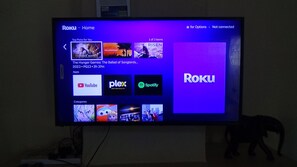 Televisión