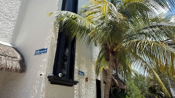 Vista frontal de la propiedad