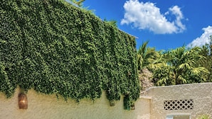 A swimming pool with a stone wall, steps leading to it, and a basket of towels. - Paseo Kuka by ÓOL Hotels (Isla Holbox)