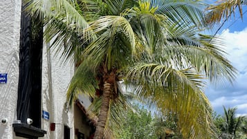Fasade