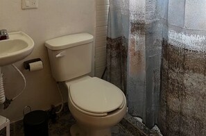 Secadora de cabello, toallas, jabón, papel de baño