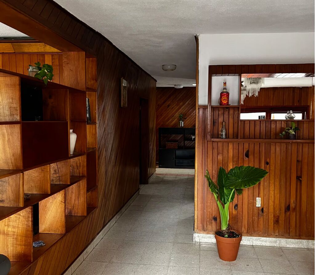 A hallway with wooden shelving units, a potted plant, and a wooden counter with a bottle.