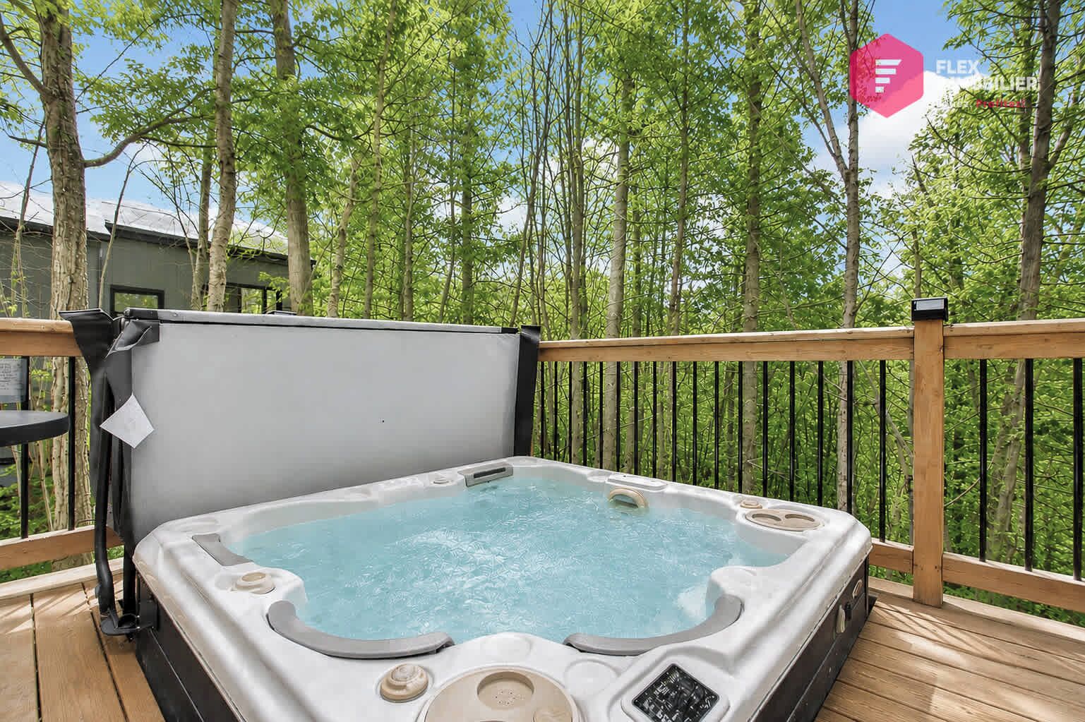Baignoire à remous extérieure