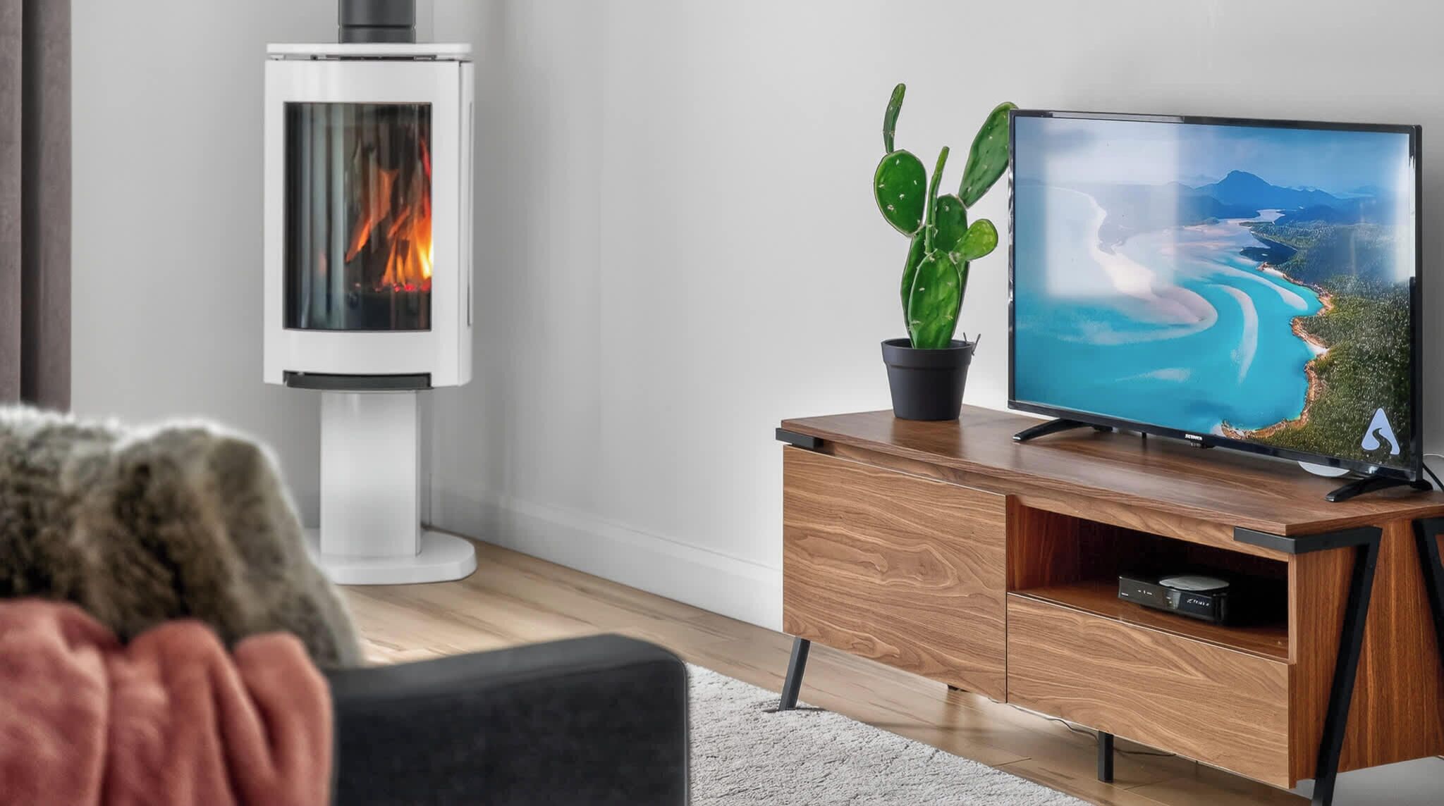 A modern living room with a flat-screen TV, a wooden cabinet, a cactus plant, and a wood-burning stove.