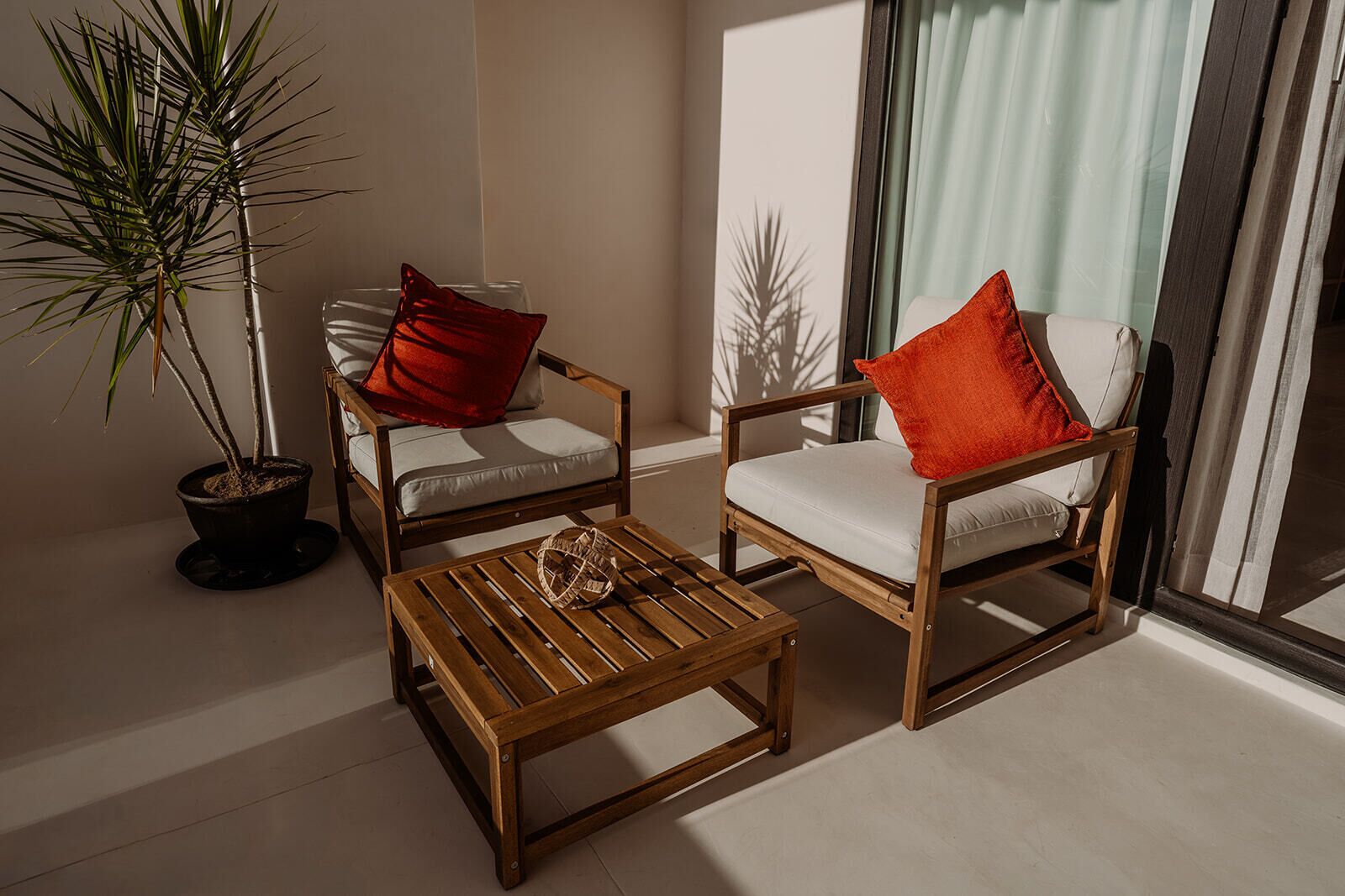 Une pièce comprenant deux chaises en bois, une table basse en bois et une plante en pot.