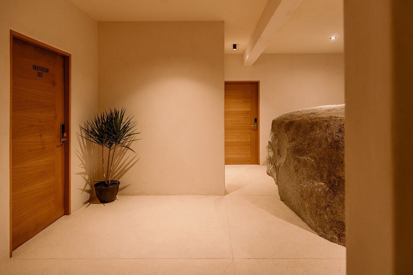 Un pasillo con una puerta de madera con la etiqueta 'Habitacion 303', una planta en maceta y una roca grande.