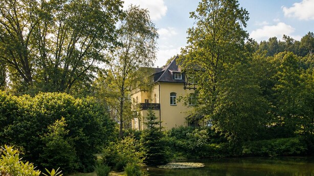 A serene lakeside setting with a house surrounded by lush greenery and a pond with lily pads.