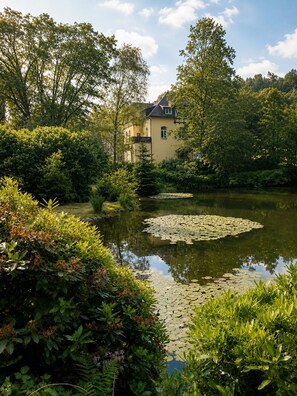 A serene lakeside setting with a house surrounded by lush greenery and a pond with lily pads.