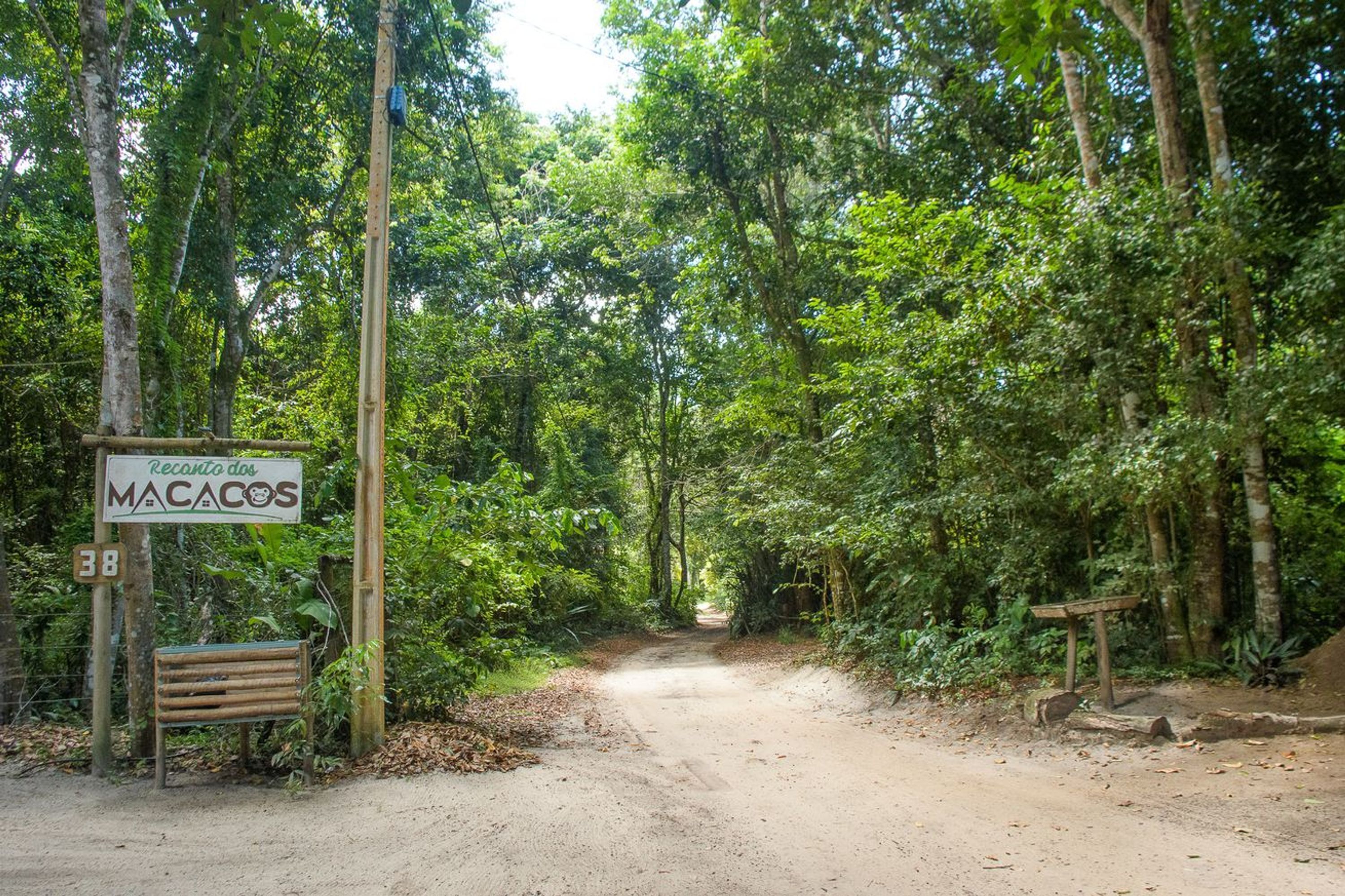 A dirt path leading into a forested area with a sign reading 'Recanto dos MACACOS' and a wooden bench.