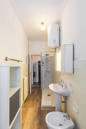 Shower, hair dryer, bidet, towels - In Turin bright apartment, for those seeking comfort and tranquility (Torino)