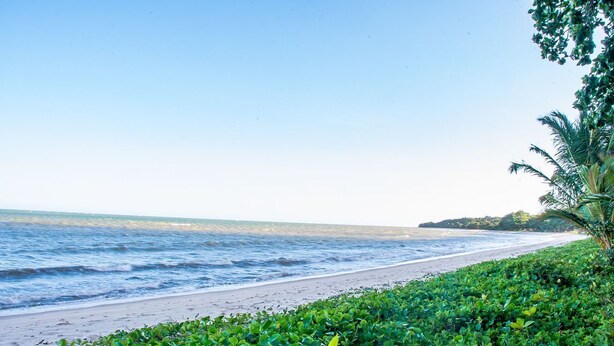 Ein Strand mit Wellen, blauem Himmel und dichtem Grün.