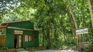 Ein kleines, grünes Gebäude mit der Aufschrift 'MACACOS', verbunden mit einem Feldweg, umgeben von dichtem Wald.