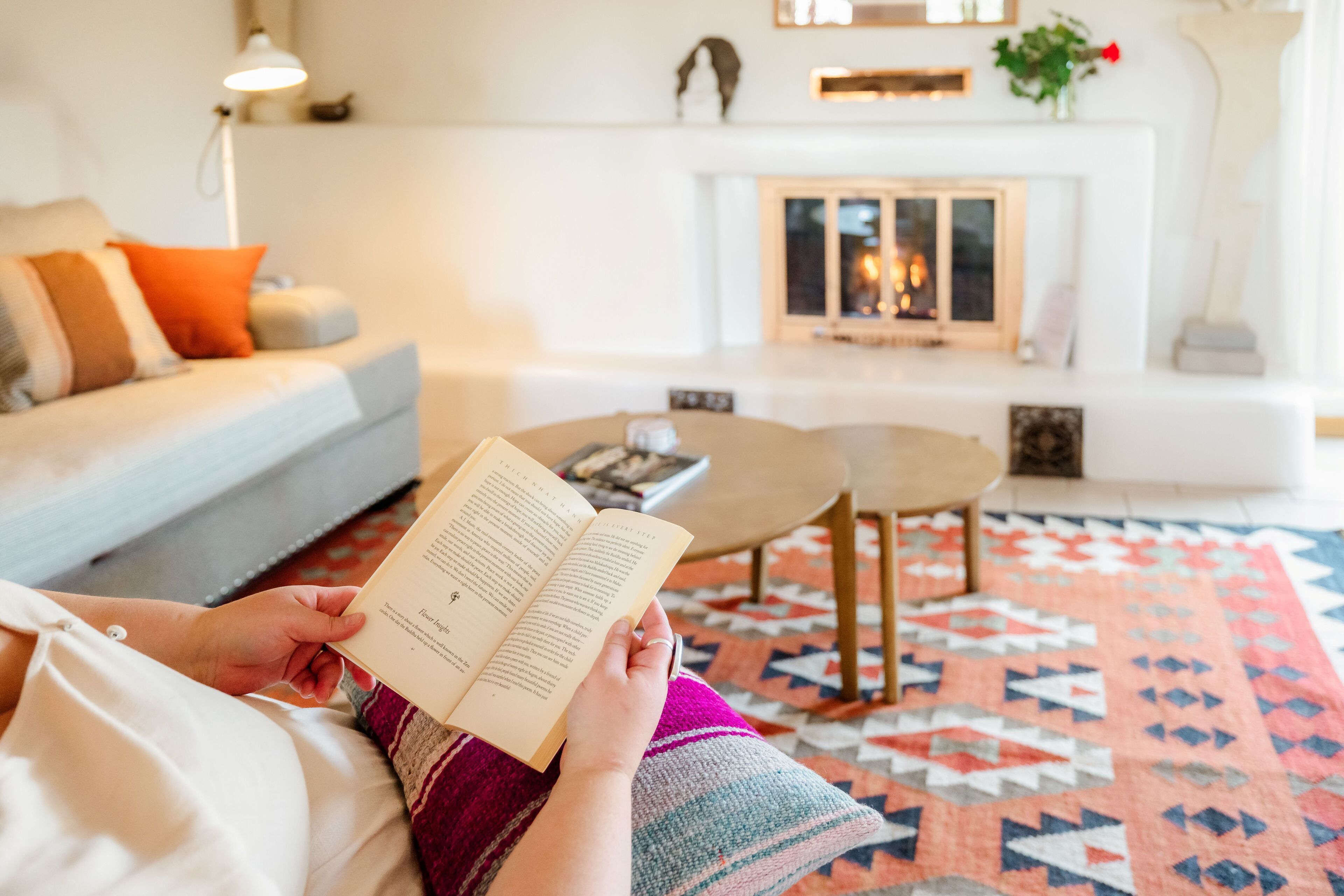 Smart TV, fireplace, books