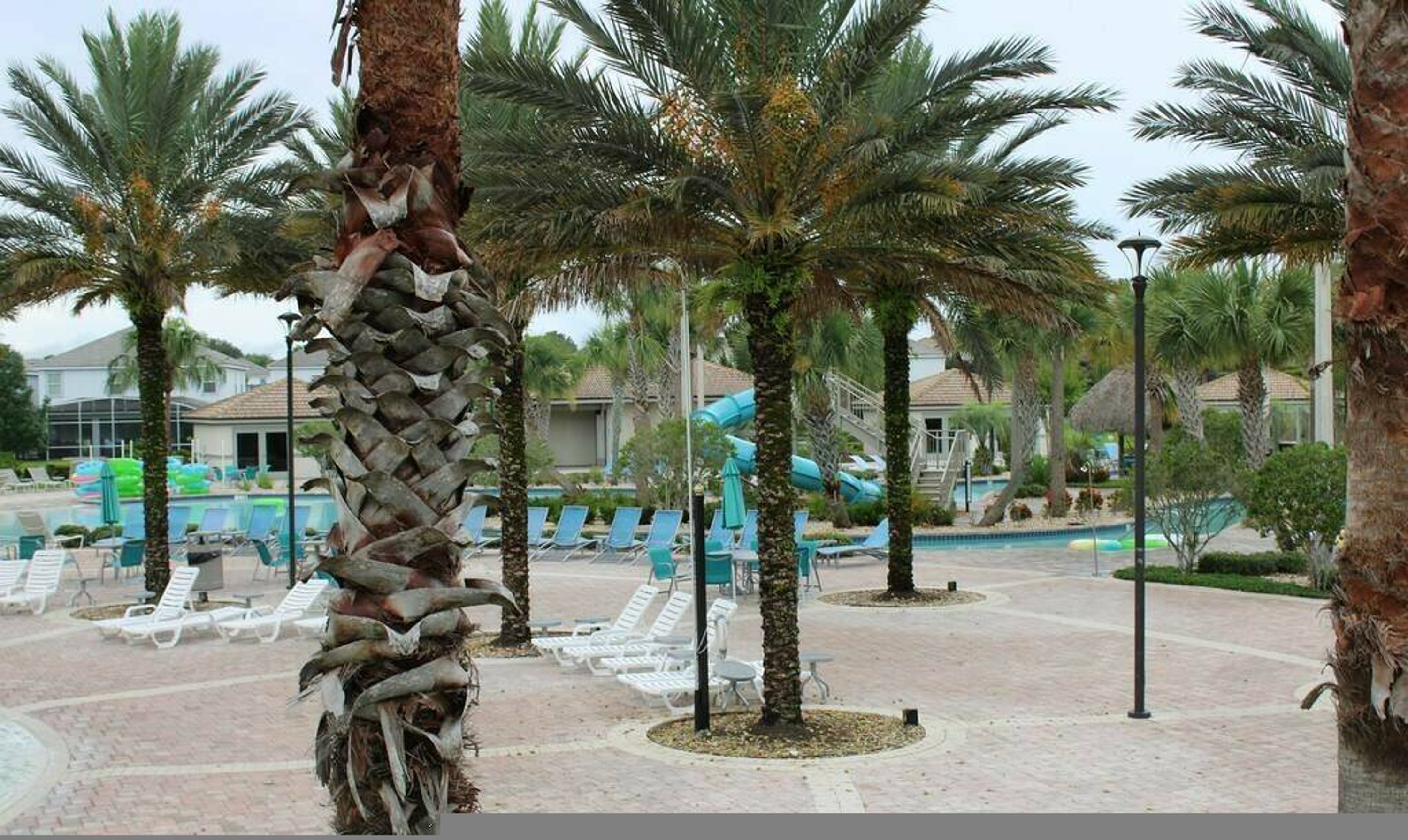 A pool area with lounge chairs, palm trees, and a water slide.