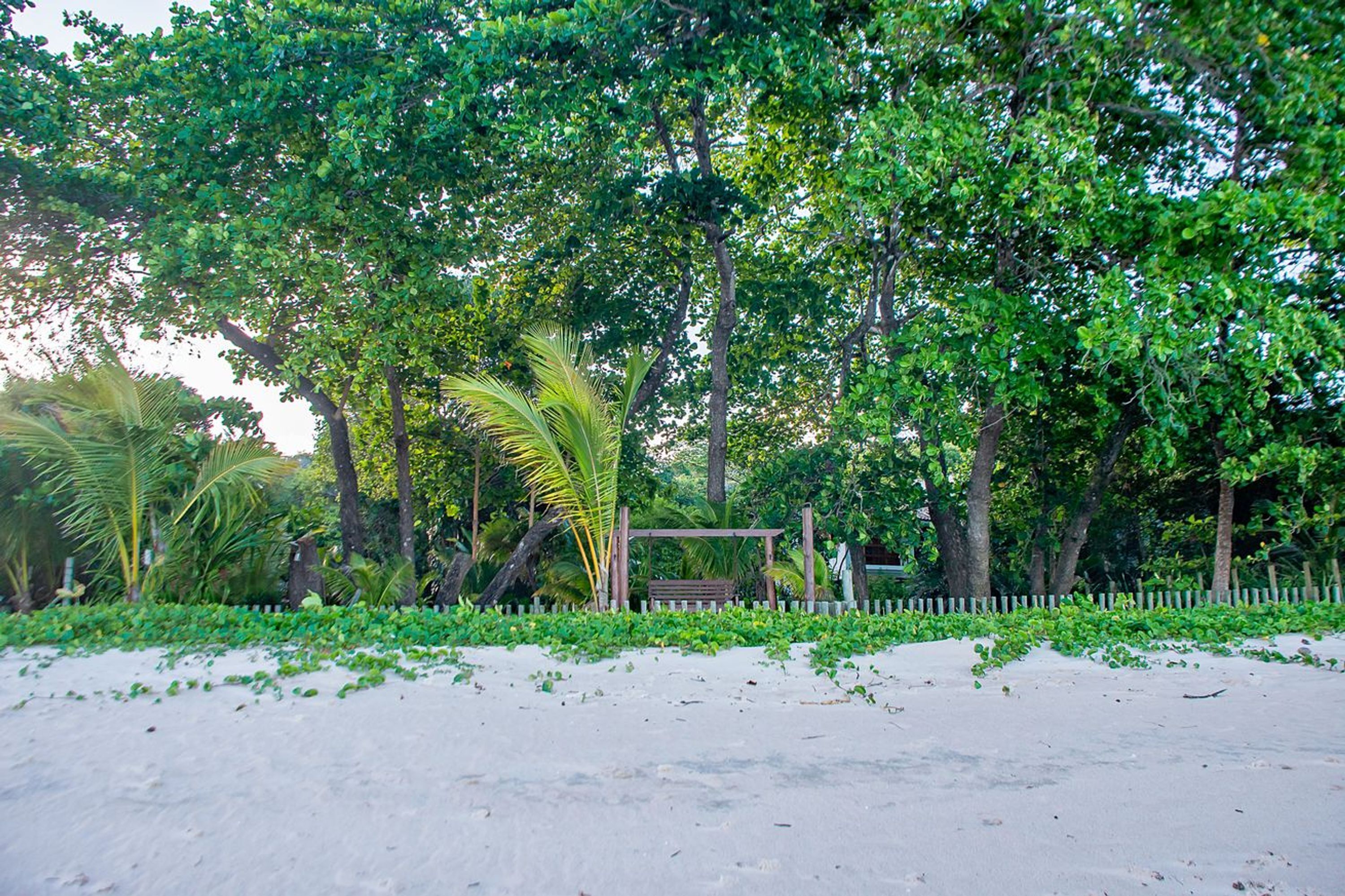 Ein Sandstrand mit einer Holzbank und einem weißen Zaun.