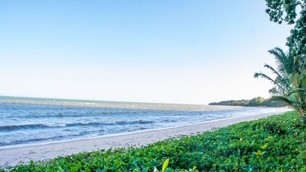 Ein Strand mit blauem Himmel, Meereswellen und üppigem Grün.
