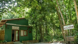 Ein kleines, grünes Gebäude mit der Aufschrift 'MACACOS', verbunden durch einen unbefestigten Weg, umgeben von dichtem Wald.